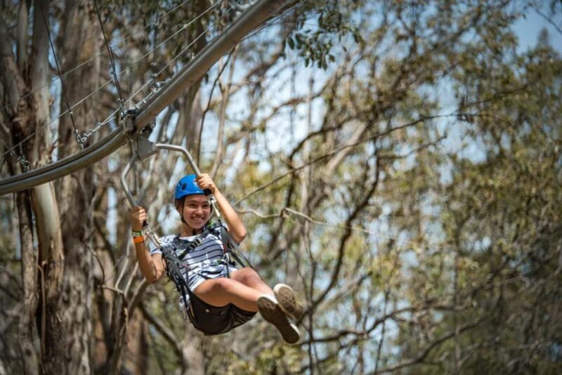 Ourimbah: Central Coast Zipcoaster - Key Points