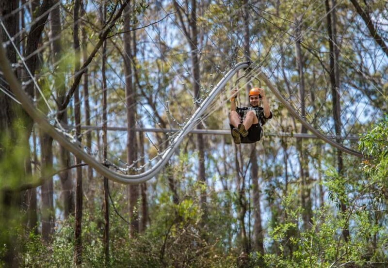 Ourimbah: Central Coast Zipcoaster - The Experience in Detail