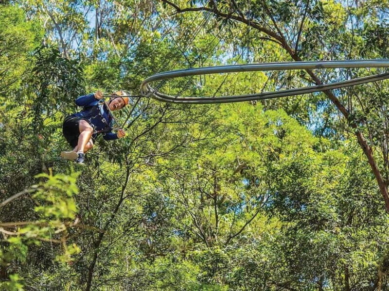 Ourimbah: Central Coast Zipcoaster - Who Should Book This?