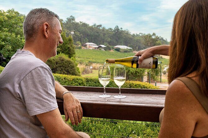 Out For The Afternoon - Half Day of Indulgence in the Swan Valley - In The Sum Up: Who Is This Tour Perfect For?