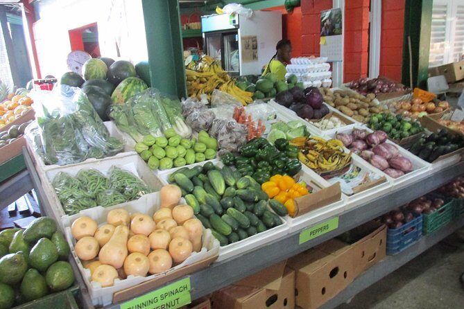 Outback Antigua Tour - Key Points