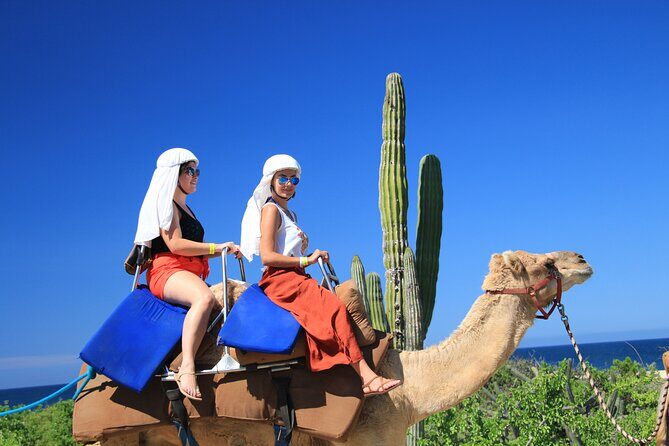 Outback Camel Ride - Practical Details and Considerations