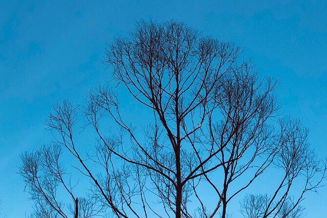 Outdoor and Sightseeing Tour in Ella with Lunch - The Lunch and Overall Value