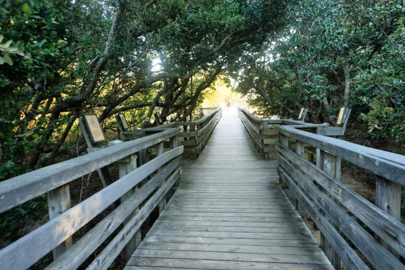 Outer Banks: Explore the OBX with a Local Photographer - Key Points