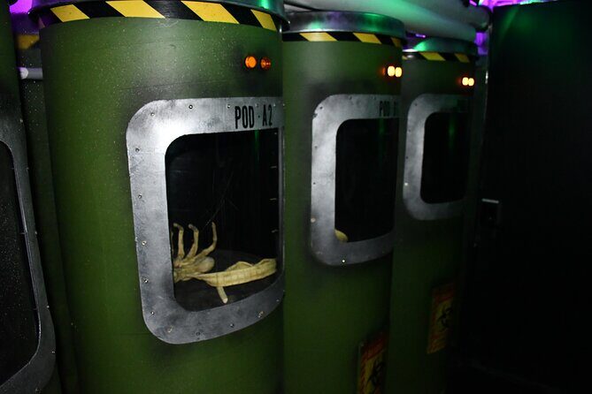 Outer Space One Hour Escape Game - Authentic Reviews: What Visitors Are Saying