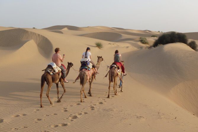 Over Night camel safari non touristic sand dune - The Sum Up
