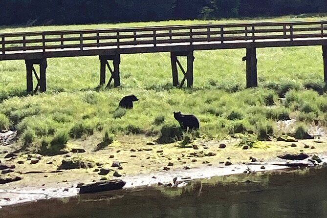 OVER THE TOP TOURS city highlights, wildlife and more! - Authentic Insights from Past Travelers