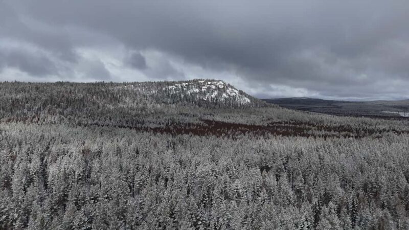 Överkalix - Lapland : Arctic Circle and Waterfall Day Tour - Överkalix - Lapland: Arctic Circle and Waterfall Day Tour