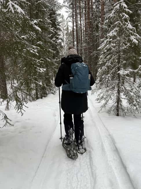 Överkalix - Lapland : Full-Day Snowshoe Tour with Lunch - Key Points