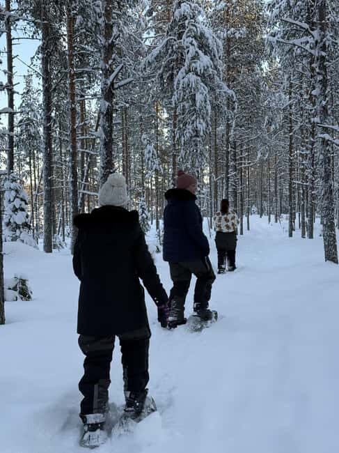 Överkalix - Lapland : Full-Day Snowshoe Tour with Lunch - Who Would Love This Tour?