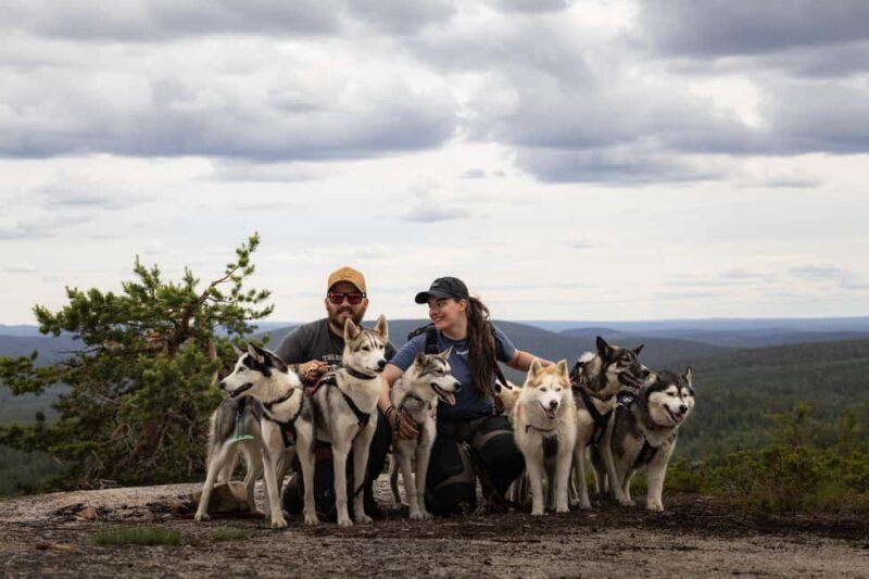 Överkalix - Lapland : Husky Cuddle and Fika Experience - How It All Begins: Meeting the Huskies