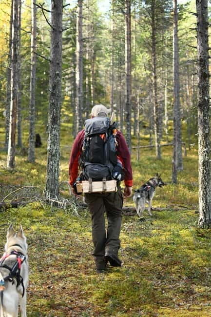 Överkalix - Lapland : Private Summer Hike with Lunch - An In-Depth Look at the Överkalix Summer Hike