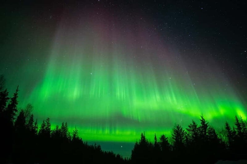 Överkalix - Lapland : Snowmobile Tour with Northern Lights - FAQs