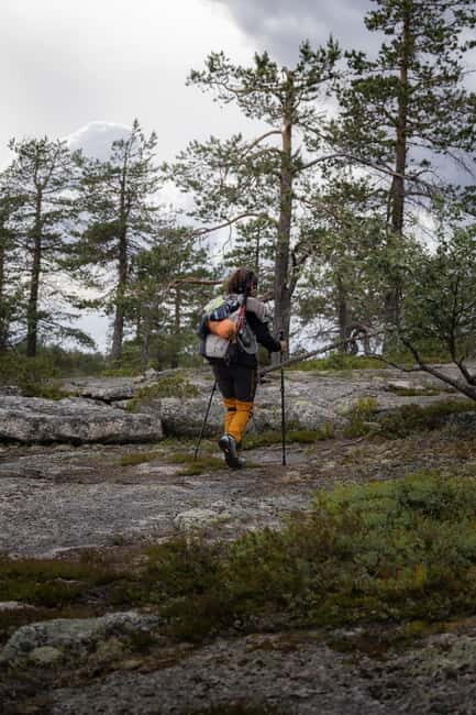 Överkalix - Lapland : Summer Hike and Midnight Sun Dinner - Who Will Love This Tour?