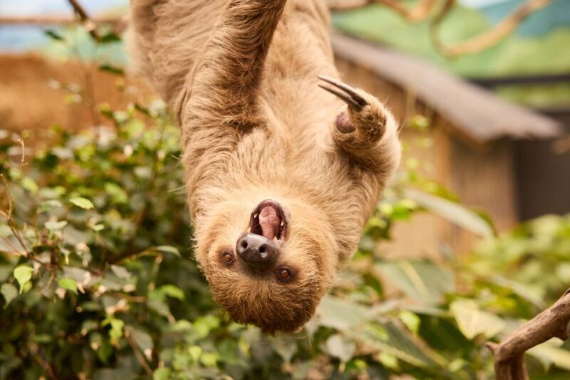 Overloon: ZooParc Entrance Ticket - Key Points