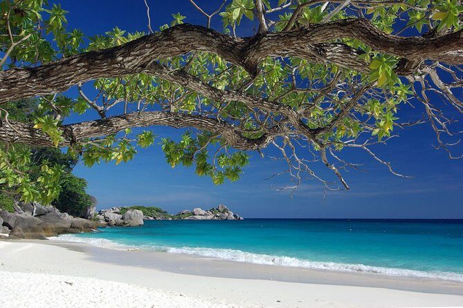 Overnight Angthong Marine Park - A Closer Look at the Tour Experience