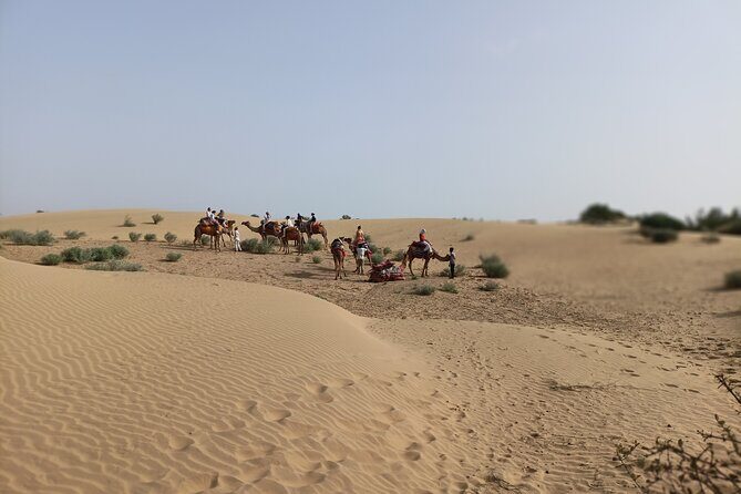 Overnight Camel Safari - An In-Depth Look at the Overnight Camel Safari