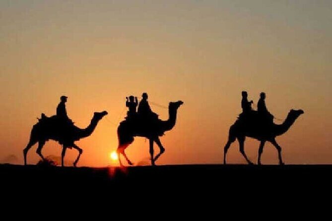 Overnight Camel Safari - An Authentic Desert Adventure in Jaisalmer