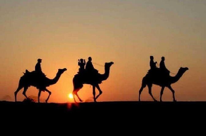 Overnight Camel Safari - What Makes This Tour Stand Out