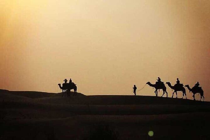 Overnight Camel Safari - The Sum Up: Is This the Right Desert Safari for You?