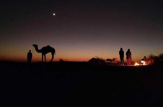 Overnight Camel Safari - FAQ – Your Practical Questions Answered