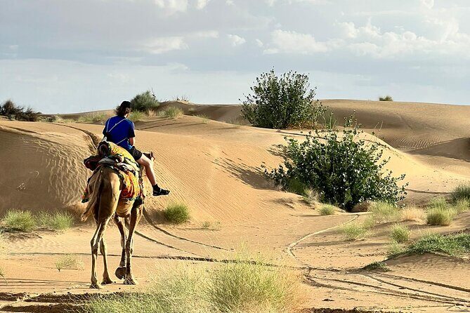 Overnight Camel Safari in Thar Desert - An In-Depth Look at the Thar Desert Overnight Safari