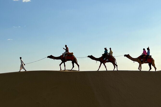 Overnight Camel Safari in Thar Desert - Cultural Entertainment and Dinner