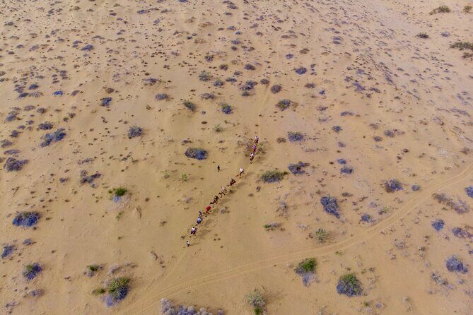 Overnight Camel Safari - Sleeping under the Stars - Key Points