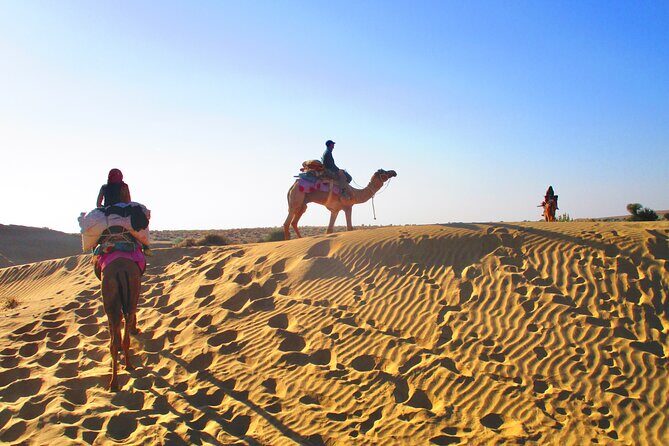 Overnight Camel Safari - Sleeping under the Stars - Exploring the Itinerary: What You Can Expect