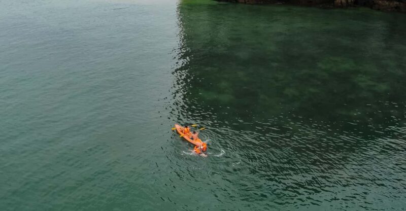 Overnight Cruise in Lan Ha Bay - 2 Days 1 Night Discovery - Key Points