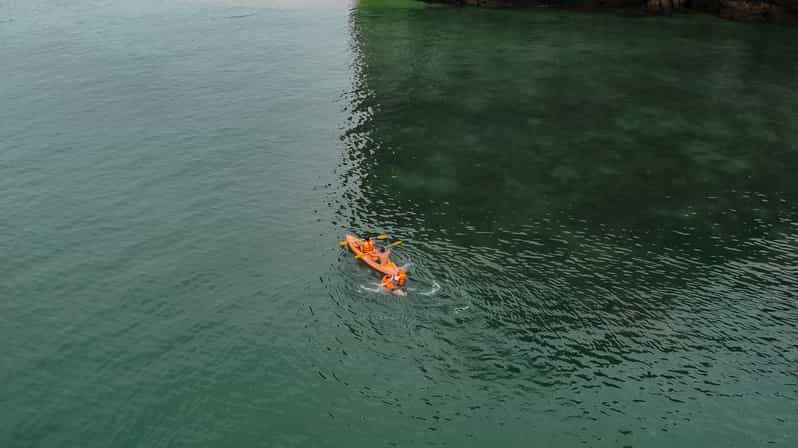 Overnight Cruise in Lan Ha Bay - 2 Days 1 Night Discovery - Who Would Love This Tour?