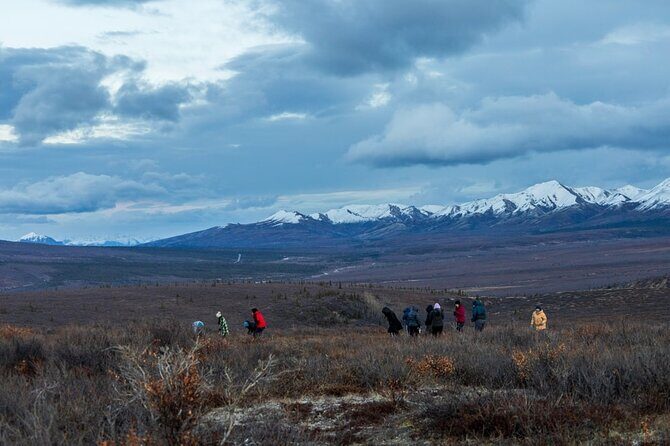 Overnight Denali National Park plus Aurora Chase Tour - Exploring the Itinerary in Detail