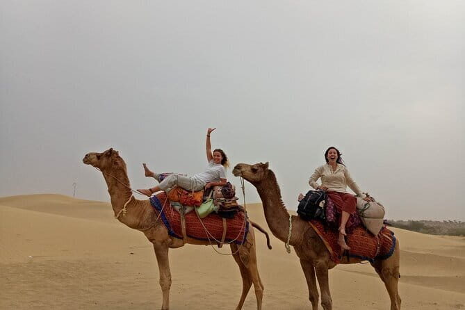 Overnight Desert Adventure Safari - Morning Departure - The Full Experience: What to Expect on the Overnight Desert Safari