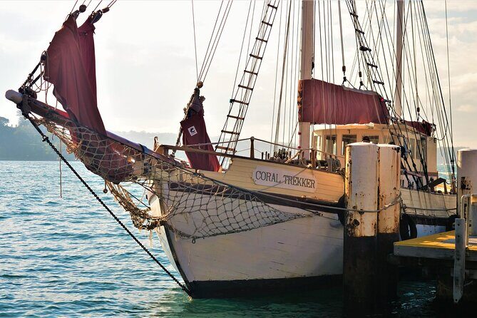 Overnight Harbour Cruise Experience - Who’s This Tour Best For?