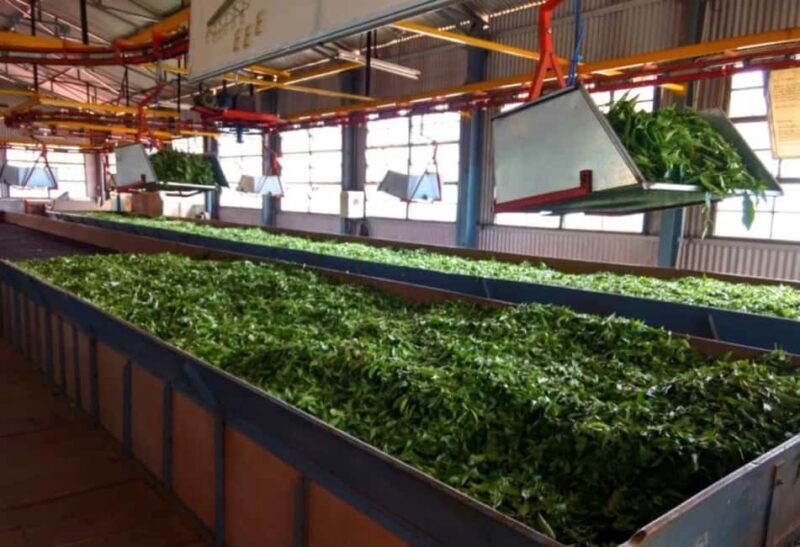 OVERNIGHT MUNNAR FROM KOCHI - Is This Tour Worth It?