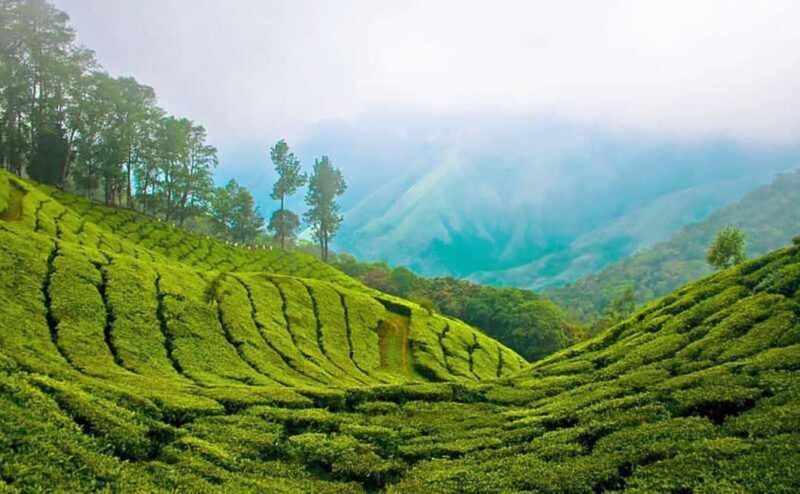 Overnight Munnar Hill Station Tour with Kerala Beauty - Who Should Choose This?