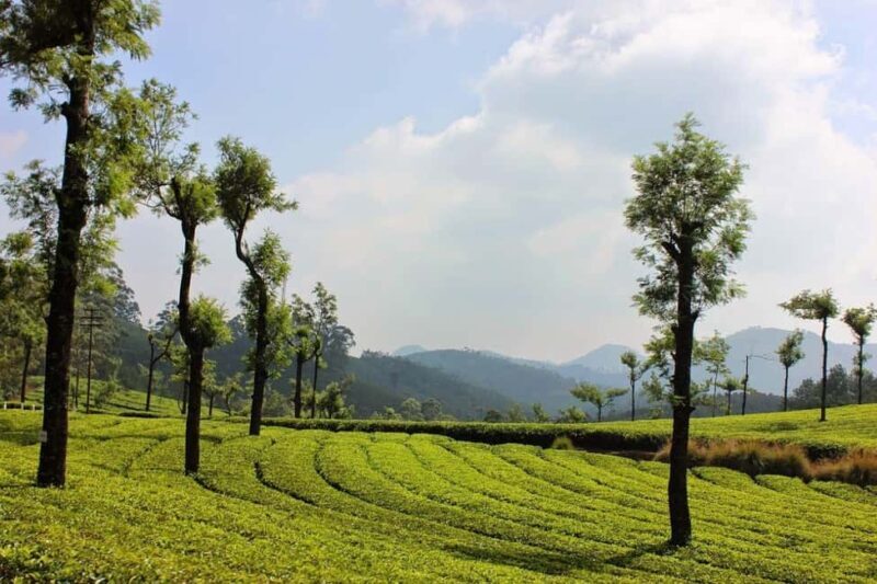 Overnight Munnar Hill Station Tour with Kerala Beauty - Final Thoughts