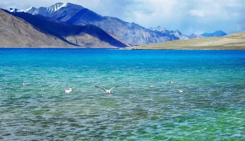 Overnight Pangong Tour From Leh With Thiksey & Shey Palace - Why This Tour Works for You