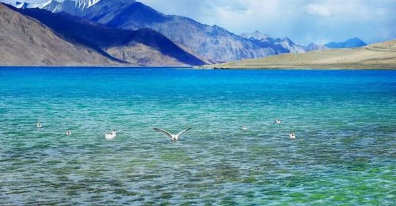 Overnight Pangong Tour From Leh With Thiksey & Shey Palace - Final Thoughts: Who Will Love This Trip?