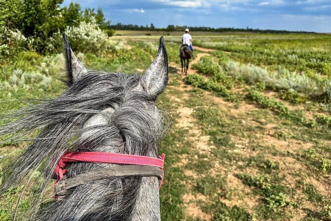 Overnight Ranch Stay and Horse Tour to Kabanbay Batyr Mausoleum - FAQs