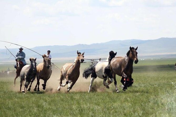 Overnight Semi-Gobi Tour with Nomadic HomeStay - Key Points