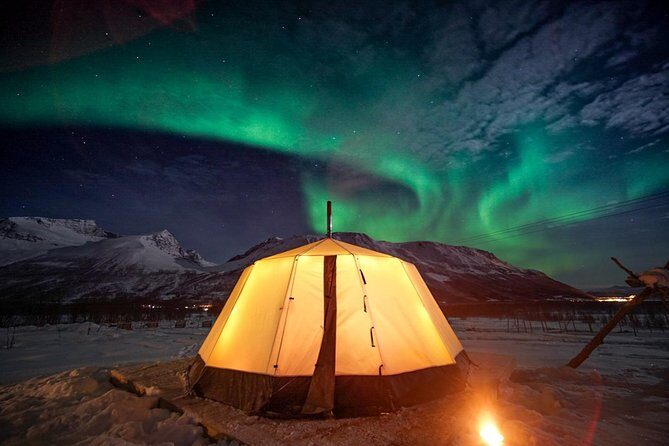 Overnight Stay with Reindeer Sledding & Feeding - Overnight Stay with Reindeer Sledding & Feeding: An Authentic Arctic Experience in Tromso