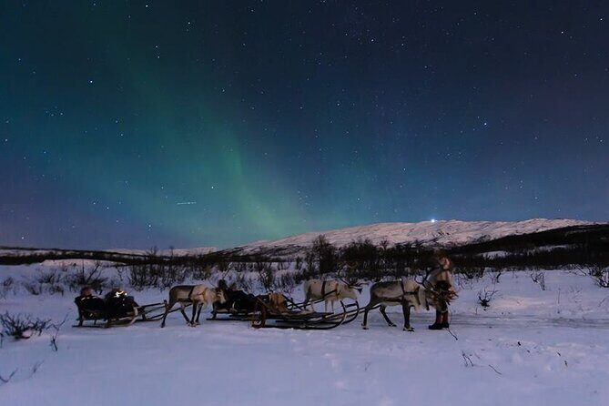 Overnight Stay with Reindeer Sledding & Feeding - Key Points