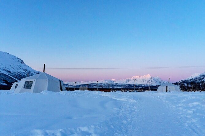 Overnight Stay with Reindeer Sledding & Feeding - Detailed Breakdown of the Itinerary