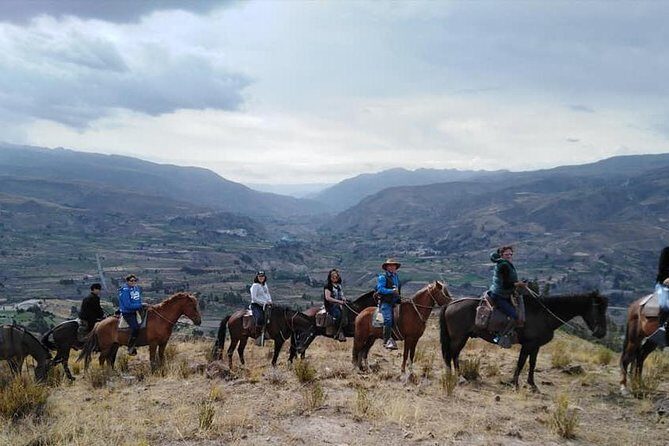 Overnight Tour: Colca Canyon Including Horse Riding from Arequipa - An In-Depth Look at the Colca Canyon Experience