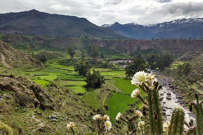 Overnight Tour: Colca Canyon Including Horse Riding from Arequipa - Authenticity and Overall Experience