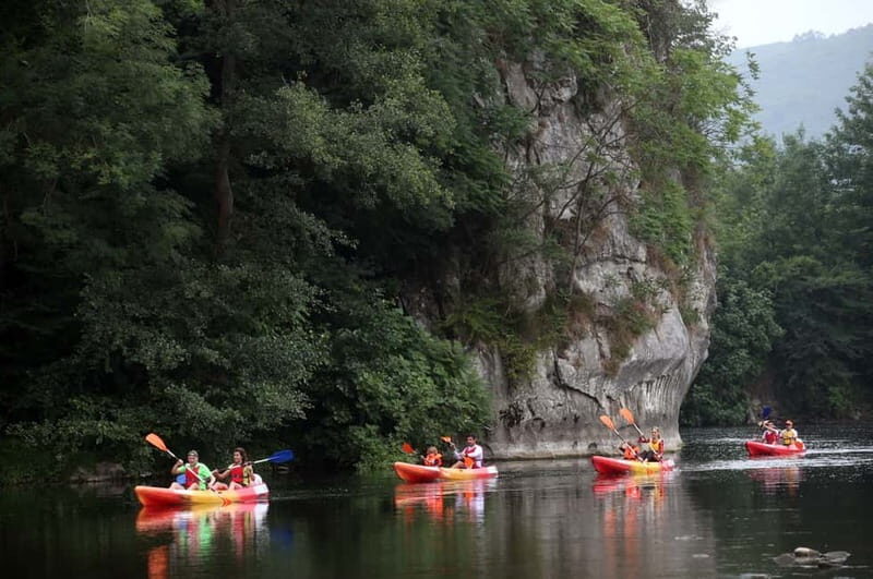 Oviedo: Canoe Descent on the Nalón River - Who Should Consider This?