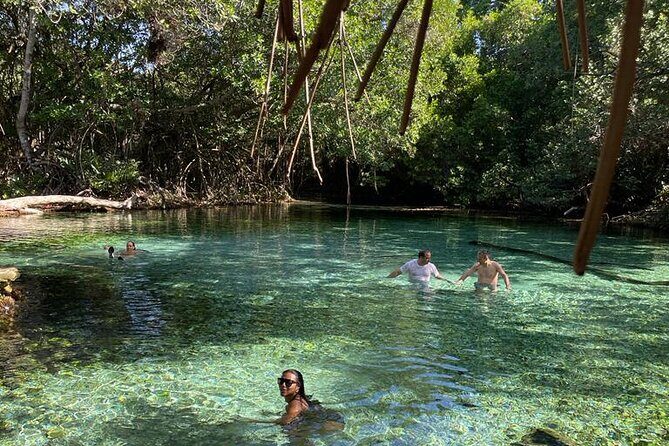 Oviedo Lagoon + Salado Stream, ALL INCLUSIVE, from Pedernales - Final Thoughts: Is This Tour Right for You?