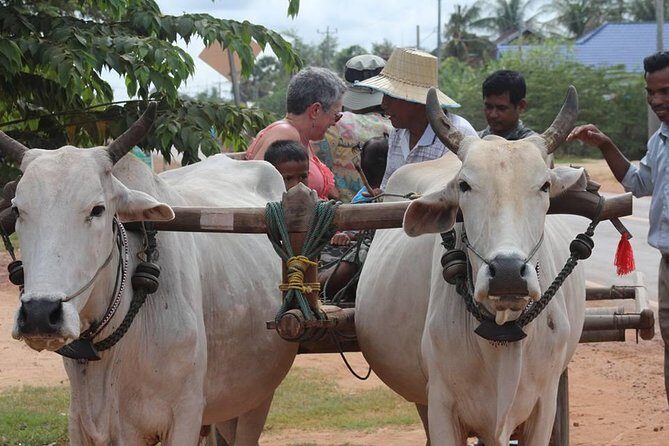 Ox-cart Culture Tour, Countryside Experince in Siem Reap - Discovering the Countryside of Siem Reap with the Ox-cart Culture Tour