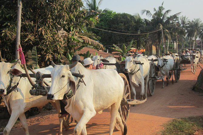Ox-cart Culture Tour, Countryside Experince in Siem Reap - What’s Included and What to Consider
